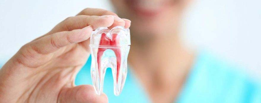 Piano Dental Clinic